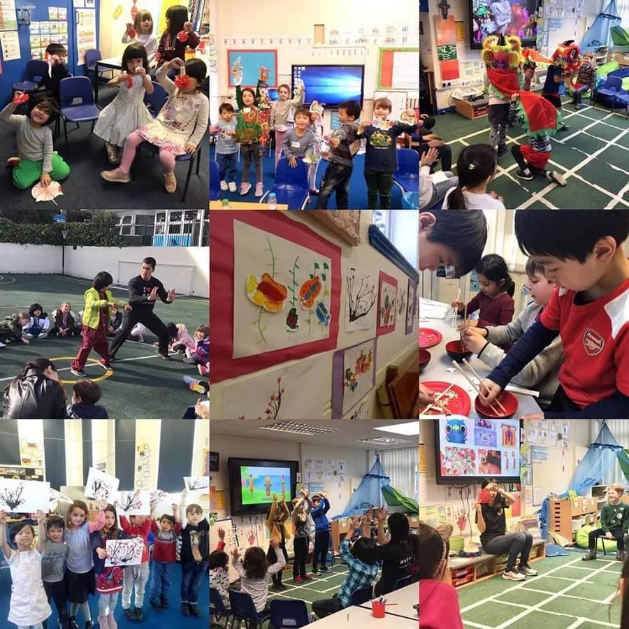 Link Chinese Academy provider photograph
