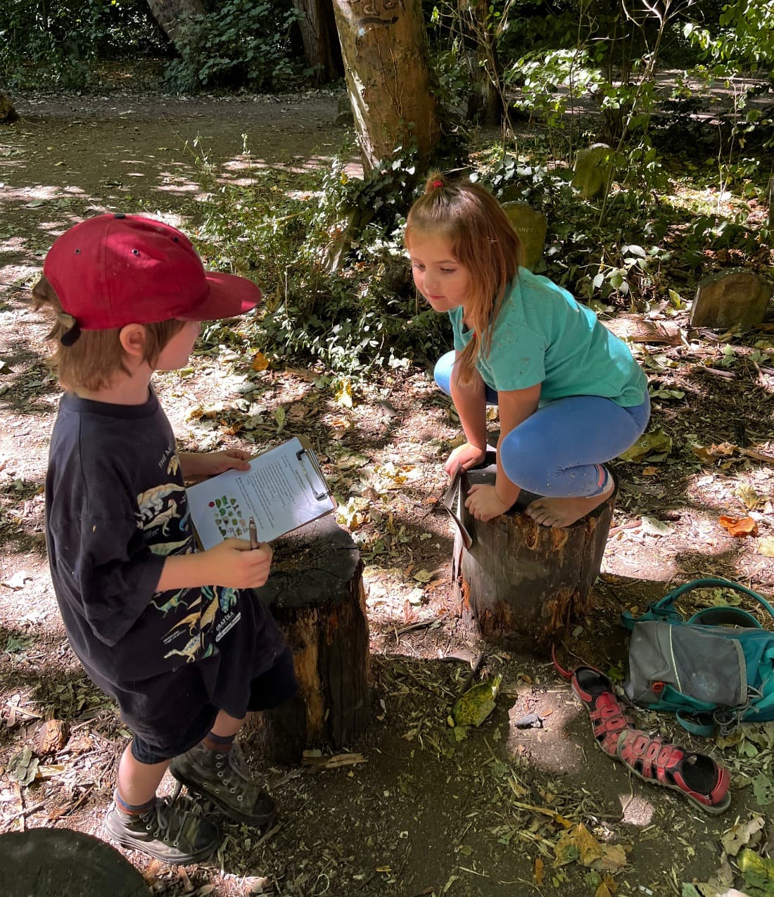 Two children exploring the woodland with a nature identification sheet